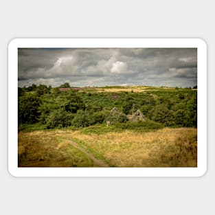 Abandoned Farm in Woodland - Baglan/ Briton Ferry - 2013 Sticker